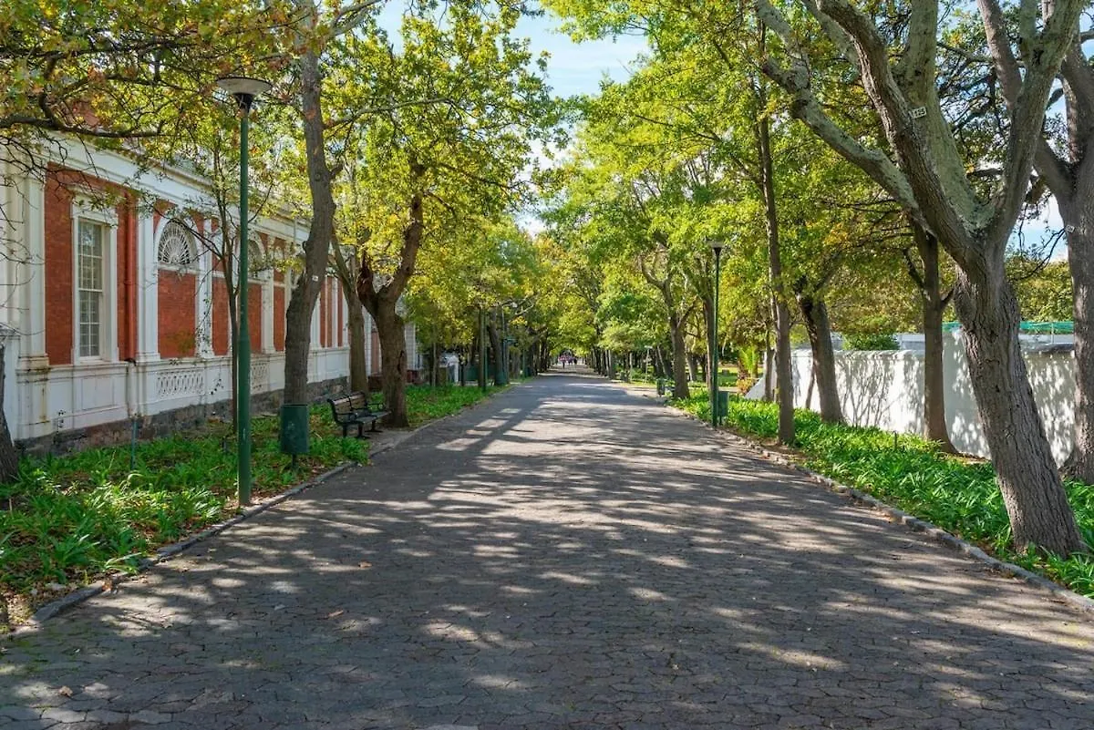 Studio Close To Cticc W Fast Wifi & Secure Parking Ciudad del Cabo